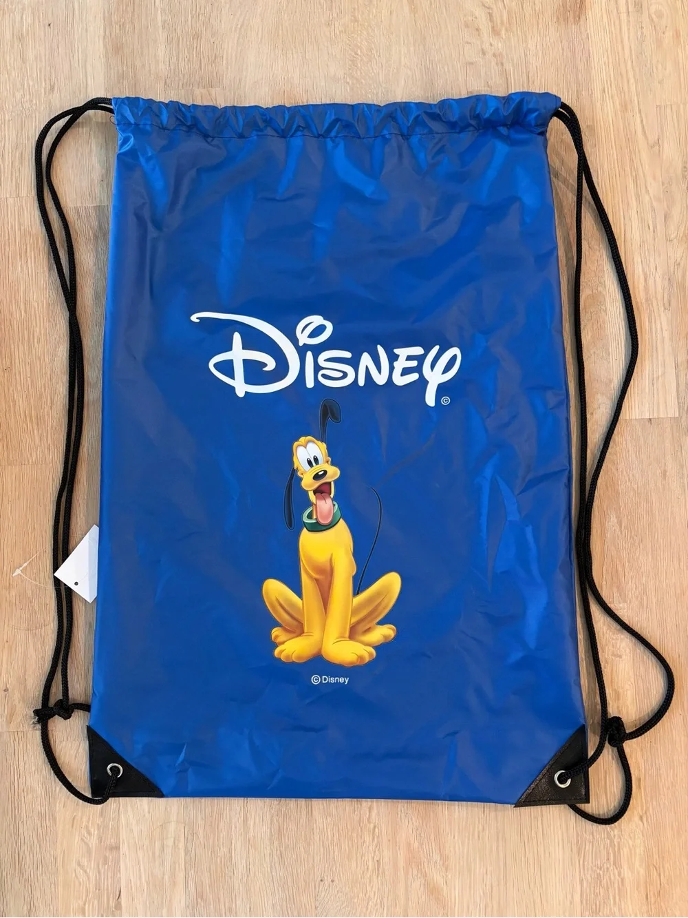 NWT Disney Pluto's Dog Welcome Kit | Fort Wilderness Resort | Rare Complete Kit